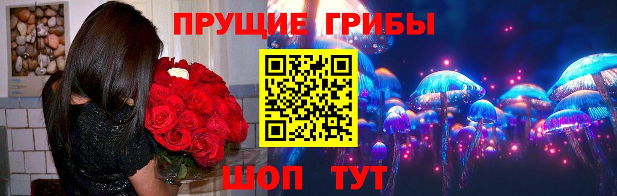 Псилоцибиновые грибы GOLDEN TEACHER  Галлюциногенные грибы Psilocybe  Вход с VPN  Еманжелинск 
