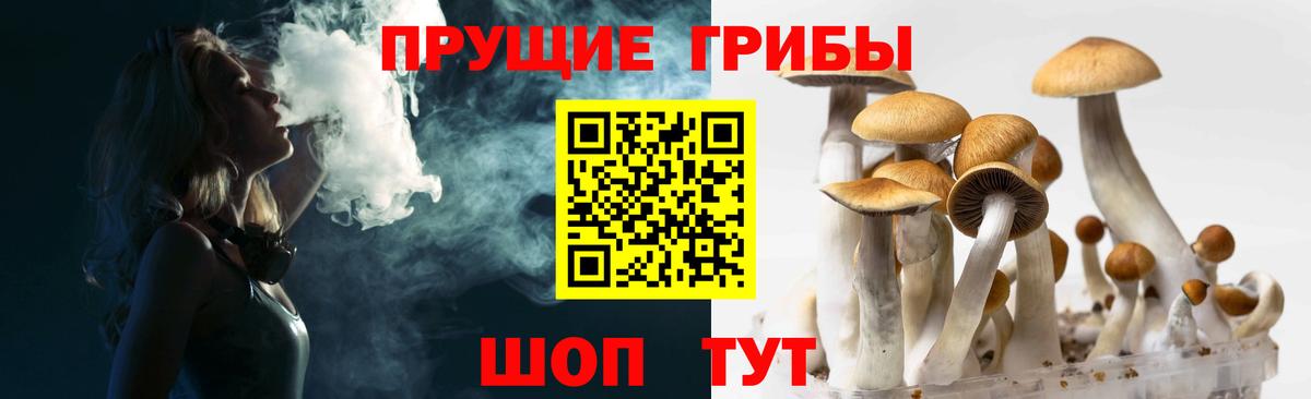 Галлюциногенные грибы Psilocybe Еманжелинск